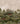 Wild Terrain Reverie